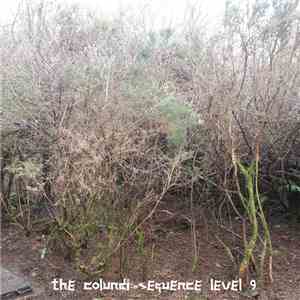 Aleksi Perälä - The Colundi Sequence Level 9