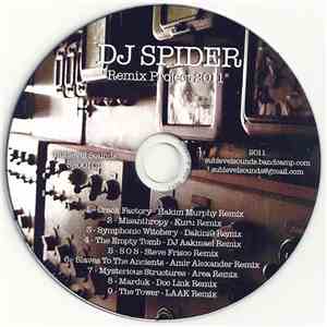 DJ Spider  - Remix Project 2011