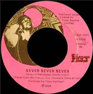 John Holt - Never Never Never / I'd Love You To Want Me