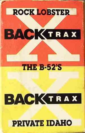 The B-52's - Rock Lobster / Private Idaho