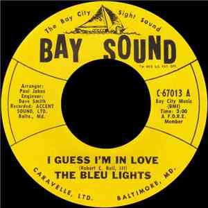 The Bleu Lights - I Guess I'm In Love