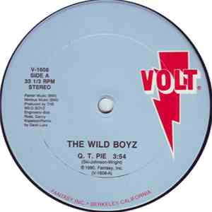 The Wild Boyz - Q.T. Pie