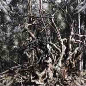 Folge Dem Wind - Hail The Pagan Age