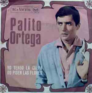 Palito Ortega - Yo Tengo La Culpa