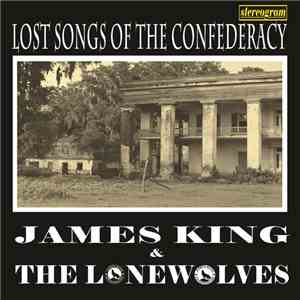 James King And The Lonewolves - Lost Sons Of The Confederacy