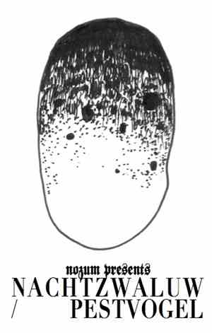 Nachtzwaluw/Pestvogel - Nachtzwaluw/Pestvogel