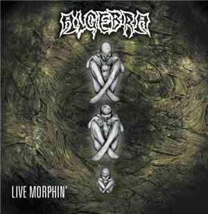 Algebra  - Live Morphin'