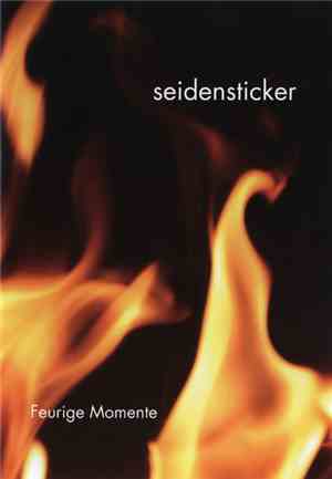 Seidensticker  - Feurige Momente