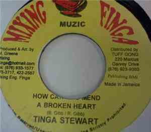 Tinga Stewart - How Can You Mend A Broken Heart