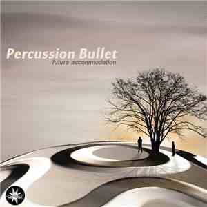 Percussion Bullet - Future Accommodation