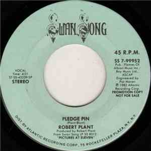 Robert Plant - Pledge Pin