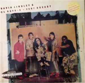 David Lindley And El Rayo-X - Very Greasy