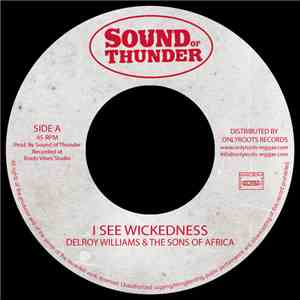 Delroy Williams, Mr Haze & The S.O.A - I See Wickedness