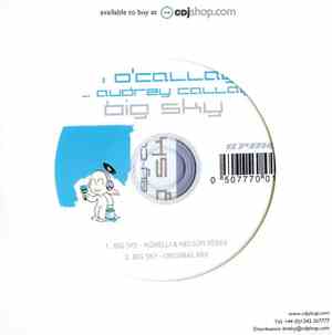 John O'Callaghan Feat. Audrey Callagher - Big Sky