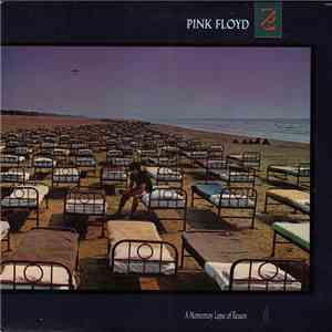 Pink Floyd - A Momentary Lapse Of Reason