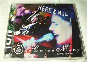 Sky Cries Mary - Here And Now - Live 2005