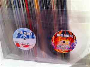 BIG MUFF RADIO - Fishstick Summer / Dream 2 Life