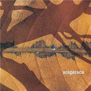 Travalíngua - Arapiraca