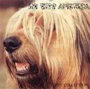 Various - We Bite America - The Collection