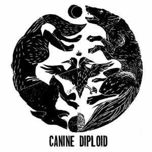 Canine , Diploid - Canine / Diploid