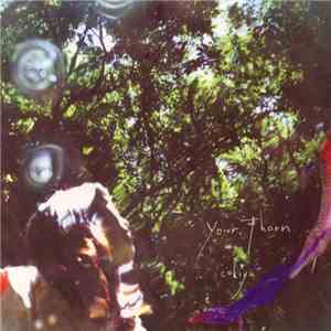 Cokiyu - Your Thorn