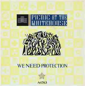 Picnic At The Whitehouse - We Need Protection