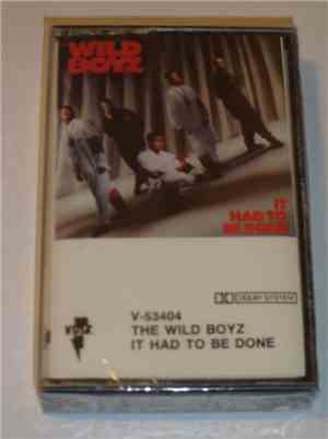 The Wild Boyz - It Had To Be Done