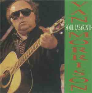 Van Morrison - Soul Labyrinth