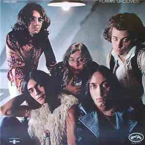 Flamin' Groovies - Flamingo