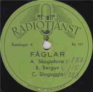 No Artist - Fåglar