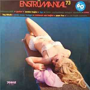 Various - Enstrümantal 73