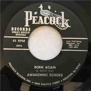 Awakening Echoes - Born Again