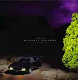 The Dig - Midnight Flowers
