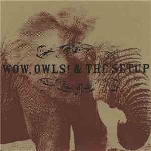 The Setup  vs. Wow, Owls! - The Setup vs. Wow, Owls!