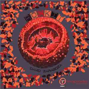 David Zaragoza - Rockit