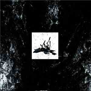 Marasme - De Llums I Ombres