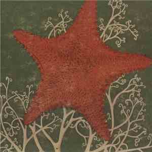 The Blithe Sons - Arm Of The Starfish