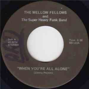 The Mellow Fellows And The Super Heavy Funk Band - When You're All Alone
