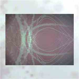 Impset - Tinram LR
