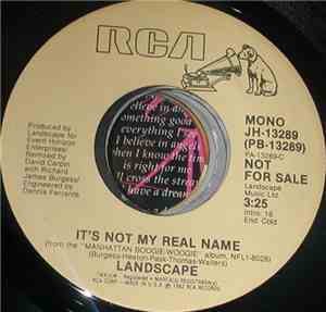 Landscape - It's Not My Real Name