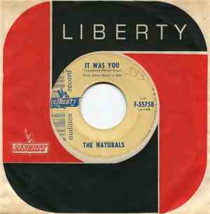 The Naturals  - It Was You