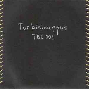 Various - Turbinicarpus Compilation #1