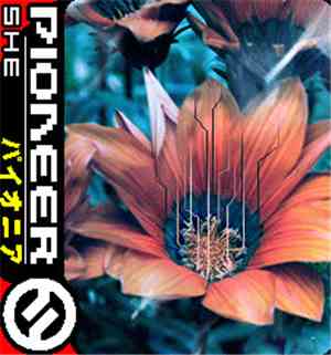 She  - Pioneer