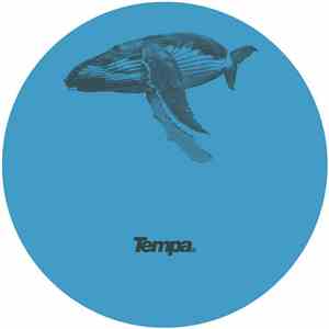 Skeptical  - Echo Dub