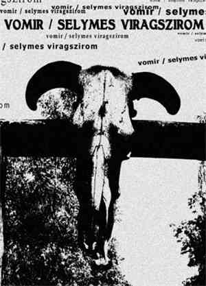 Vomir / Selymes Viragszirom - Split