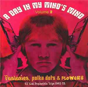 Various - A Day In My Mind's Mind - Volume 2 (Fantasies, Polka Dots & Flowe ...
