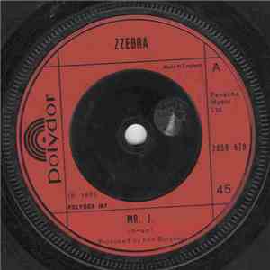 Zzebra - Mr. J.