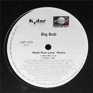 Big Bub - Need Your Love (Remix)