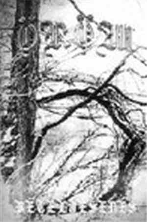 Öröm - Beteljesedés
