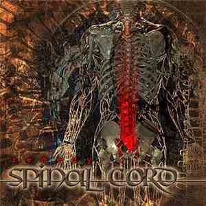 Spinal Cord  - Remedy